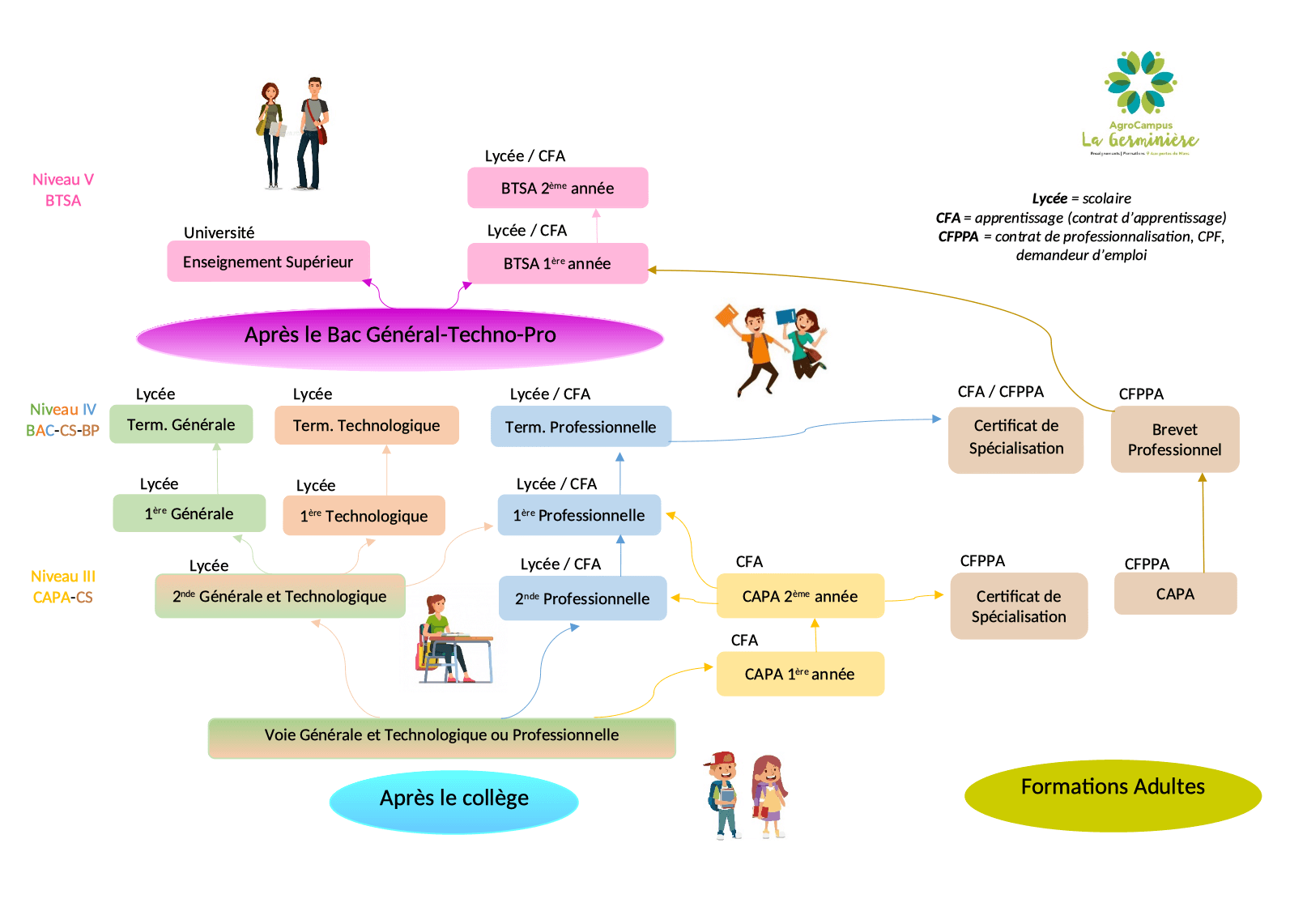 Régime Pédagogique De La Formation Générale Des Adultes