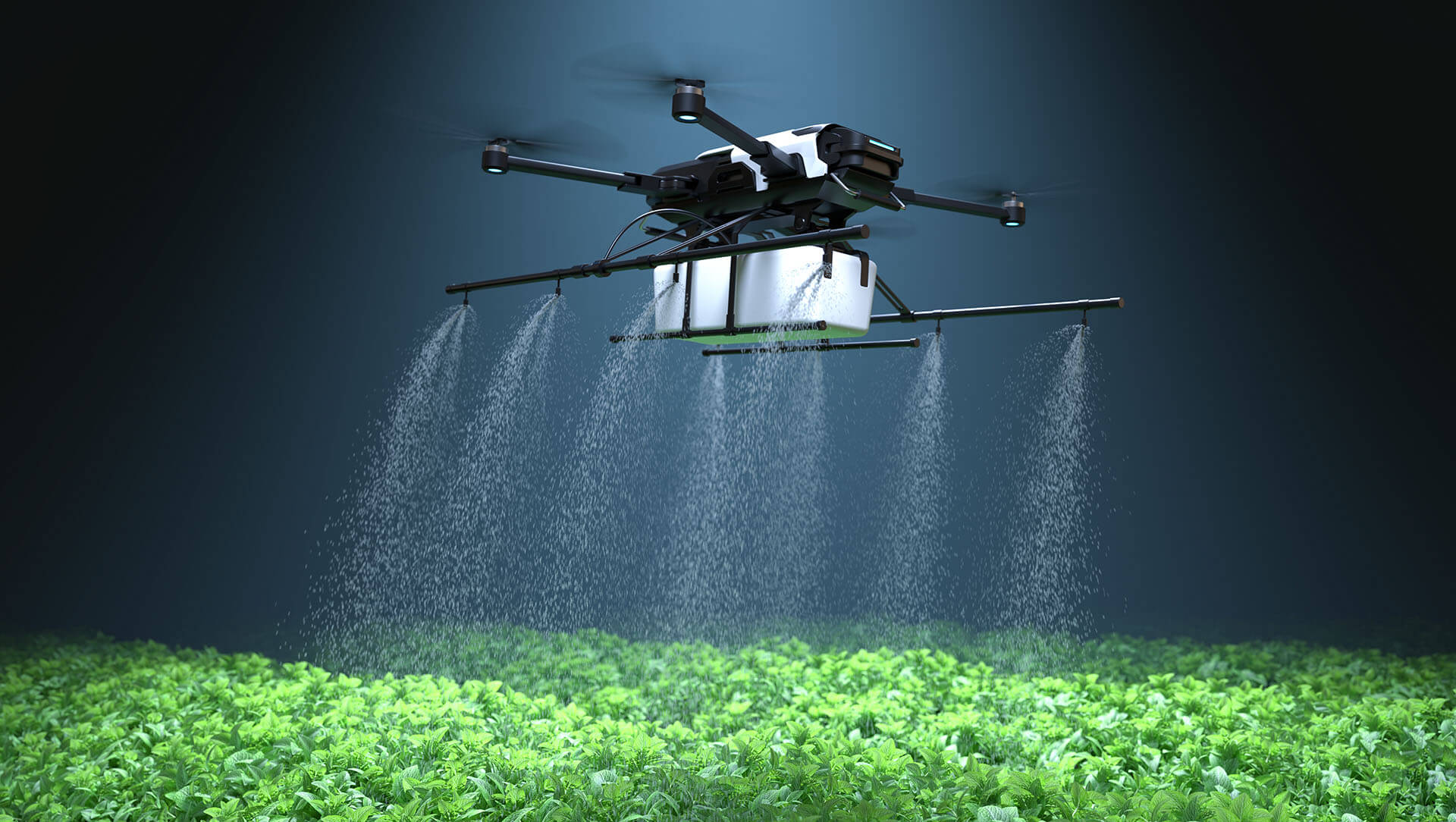 Drone pulvérisant de l'engrais sur des plants de légumes, technologie agricole, automatisation agricole. Illustration 3D